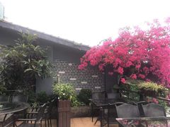 -陶然居·重庆菜(南滨路店)