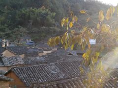-杨家堂村