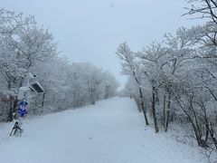 -湖州龙王山景区