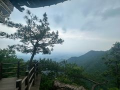 -天目山大树王景区