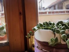 -长颈鹿咖啡(大学路店)