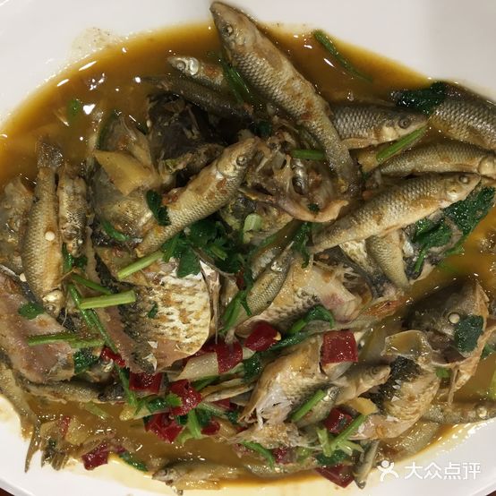 肇源江鱼馆(吉星商住城店)