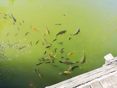 -天毓山庄·餐厅