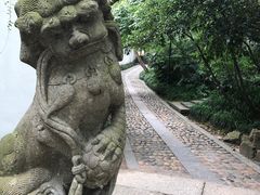 -杭州黄龙洞