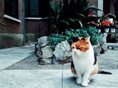 -巴金故居