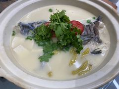 -农乐园食府(梅城镇店)