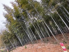 -南北湖风景区