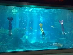 -福州罗源湾海洋世界旅游区