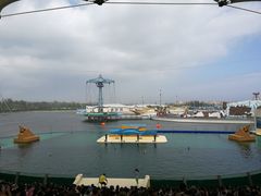 -秦皇岛乐岛海洋王国