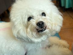 -川林海鲜酒家(湾仔海鲜街·会展中心店)