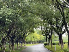-白塘生态植物园