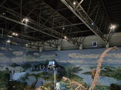 -自贡恐龙博物馆