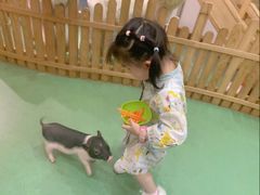 -藦茜花园宠物主题亲子互动体验馆(国顺东路店)