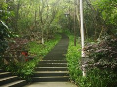 -杭州半山国家森林公园