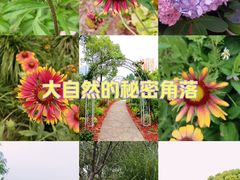 -黄兴公园