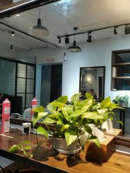 点击看大图 -艾嘉形象