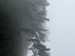 -光雾山旅游景区