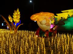 -长春公园(普阳街道)