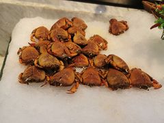 -川骄海鲜自助(河东店)