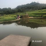 网红车渡打卡照相，河边走走，再看地图
