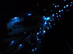 -怀托摩萤火虫洞