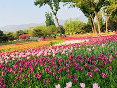 -国家植物园