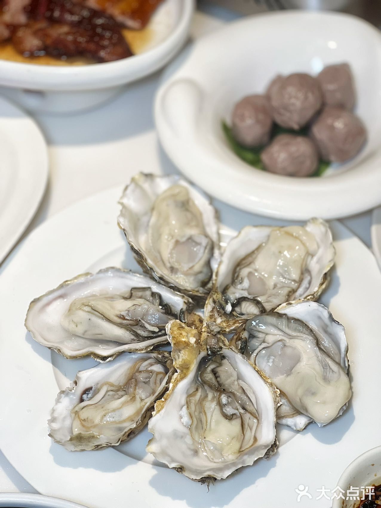 打浦桥宝藏茶餐厅，生蚝鸡煲不容错过！