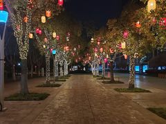 -苏州东太湖生态园