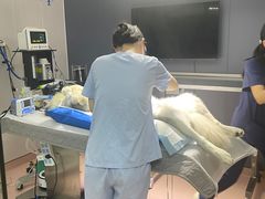 -立德动物医院·24小时中心(番禺区院区)