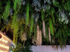 -Husky Go! 哈士奇体验馆·宠物咖啡厅狗咖