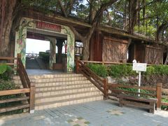 -大湾区中央湿地公园