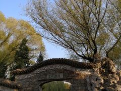 -团结湖公园