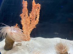 -欢乐海岸海洋奇梦馆