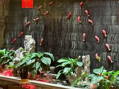 -小龙坎火锅(沙井店)