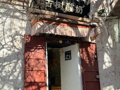 -古树酸奶(八廓南街店)
