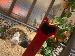 -洞庭土菜馆(天河北总店)