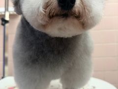-FAELING PETS美天灵宠物(富力广场店)