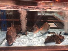 -阿伟海鲜楼·福建菜(延寿店)