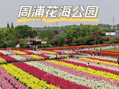 -周浦花海