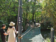 -溱湖国家湿地公园