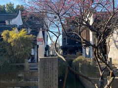 -枫泾丁氏烧卖(枫丽路店)