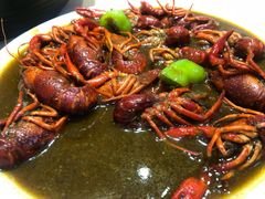 -怪怪龙虾·澳洲蓝龙王·深夜食堂(惊驾路店)