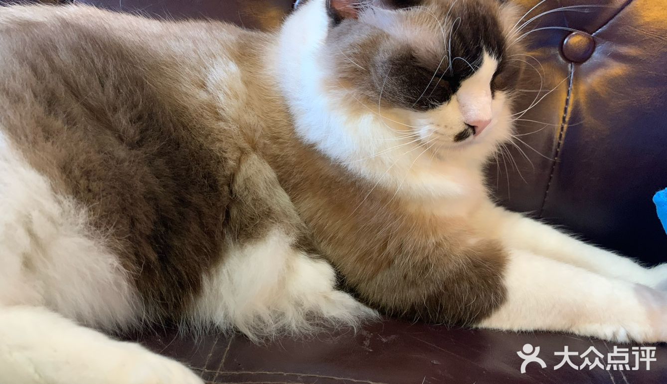 爽朗可口,祝店家生意兴隆!