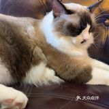 爽朗可口,祝店家生意兴隆!