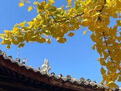 -龙华寺
