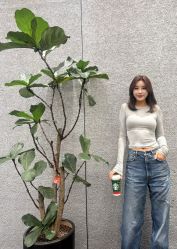 -INLIFE HAIR韩国美发