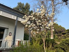 -烟台山景区