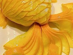 -食廬(虹桥南丰城店)