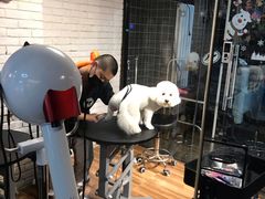 -Goku PET SHOP宠物视觉生活馆(双井店)
