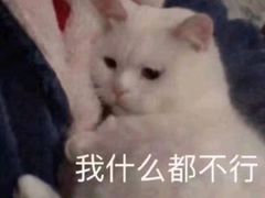 -海底捞火锅(高科广场店)
